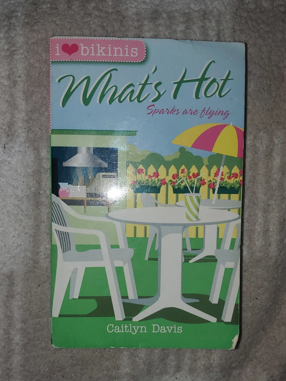 5 for $25 | What's Hot by Caitlyn Davis Paperback Novel